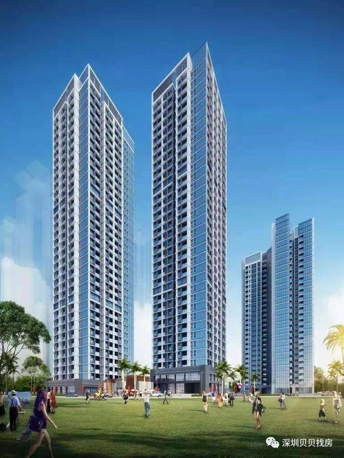 深圳非居住房地產(chǎn)租賃市場最新動態(tài) 售樓處聯(lián)系方式與租賃詳情解析